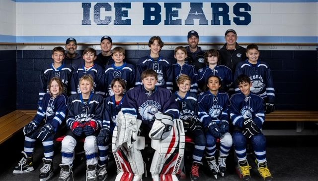 ice bears