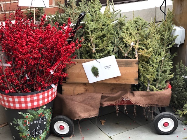 Winter Greens Market