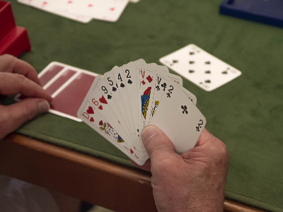 Dole Bridge Club