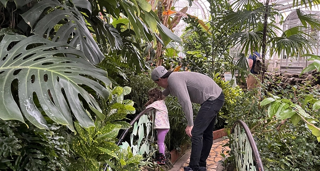 A man and a child look at plants in a lush conservatory. Another person is visible in the background.