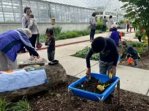 Children and adults participate in an outdoor gardening activity at Oak Park Conservatory.
