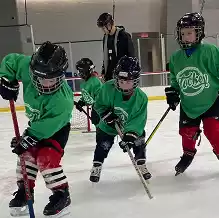 Young hockey players in green jerseys practice on the ice with sticks, guided by a coach.