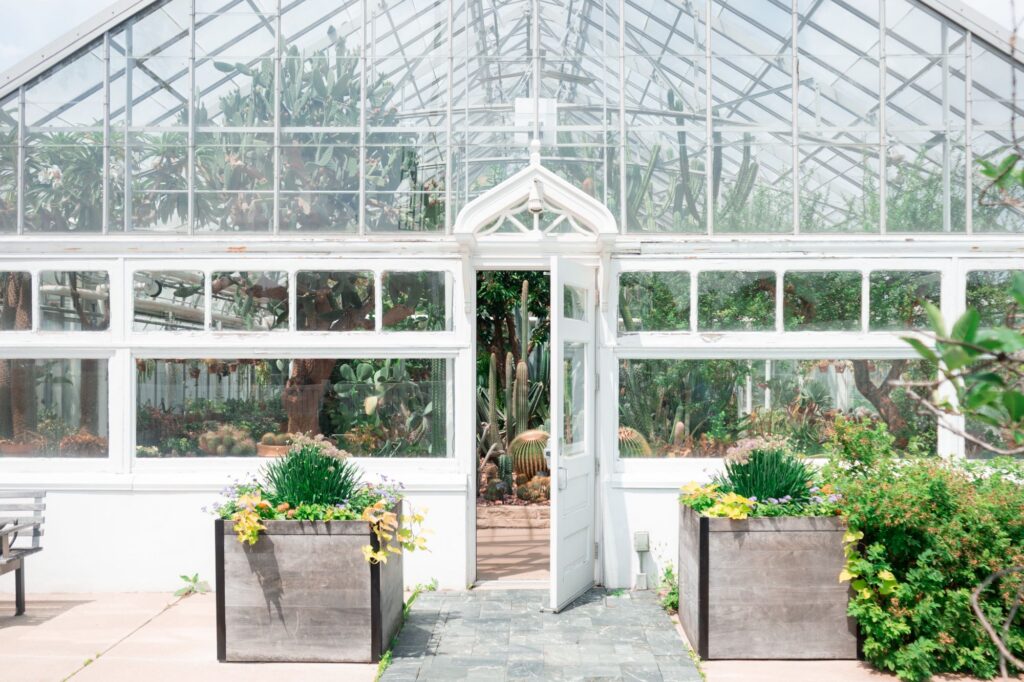 glass greenhouse with door leading into a room full of desert plants such as cacti