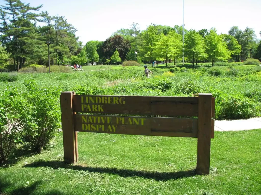 Wooden sign for Lindberg Park Native Plant Display, set in a grassy area with lush greenery and trees in the background.
