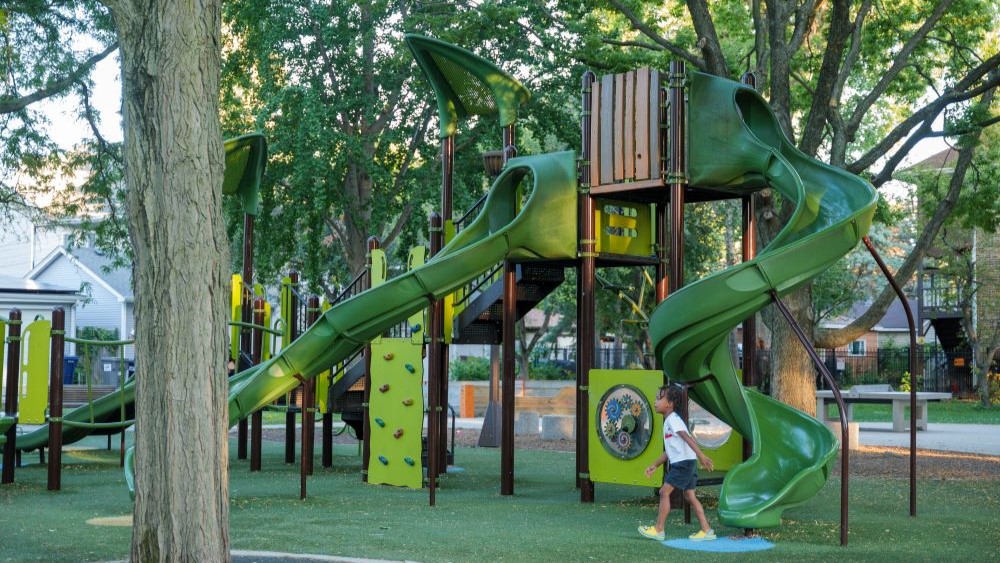 green play structure under a canopy of trees