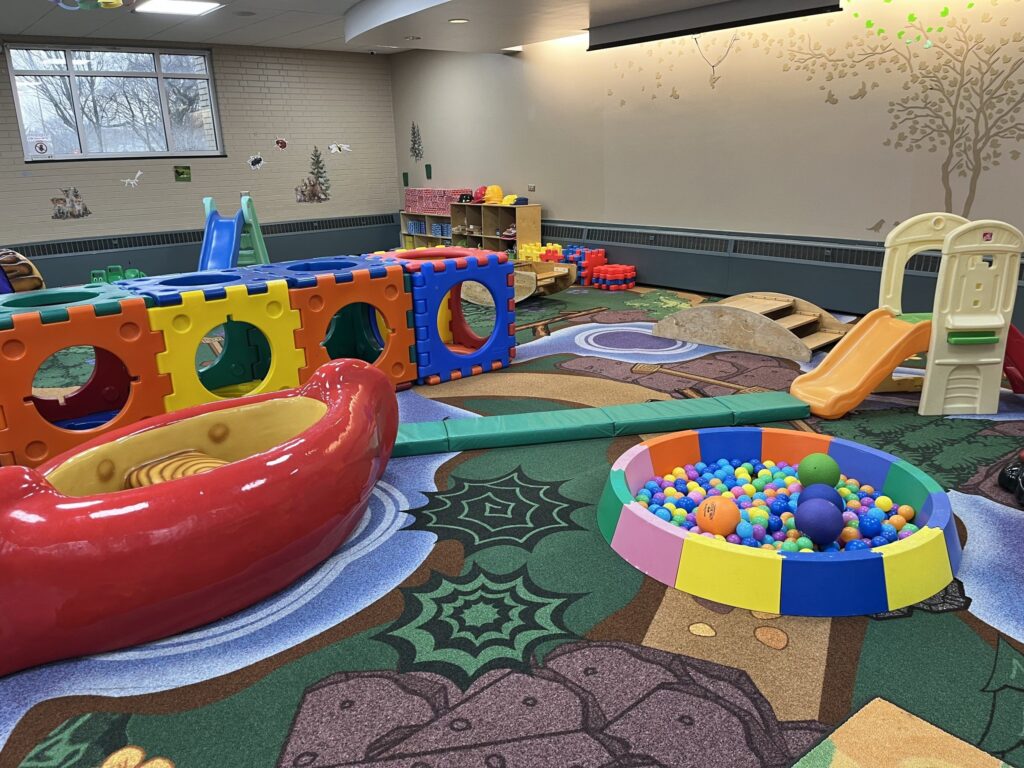 nature themed rug with tree decals on the walls, blocks, a ball pit, and slides