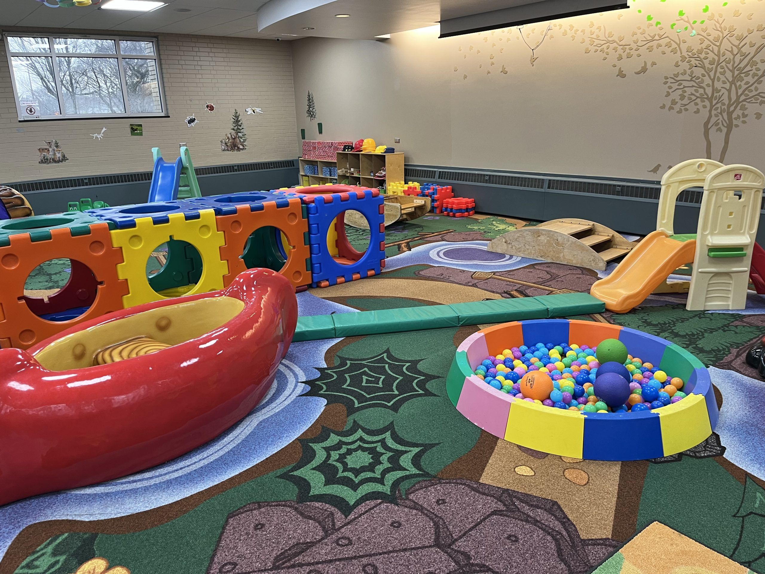 nature themed rug with tree decals on the walls, blocks, a ball pit, and slides